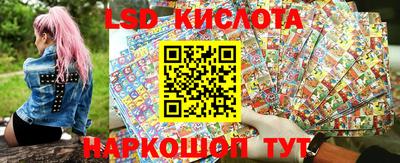 гидропоника Будённовск