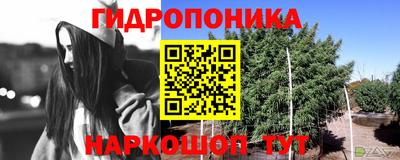 эйфоретик Бугуруслан