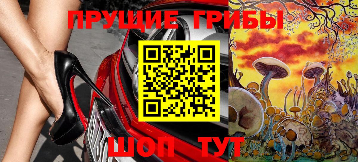 Галлюциногенные грибы GOLDEN TEACHER Новосибирск