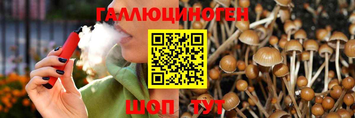 Новосибирск  Галлюциногенные грибы Psilocybe  Вход с VPN 